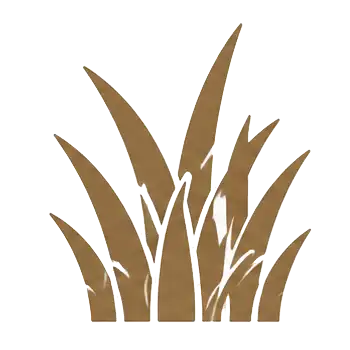 hierba