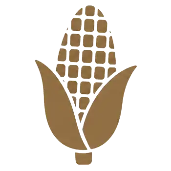 mazorca