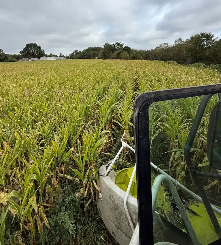 servicios agricolas