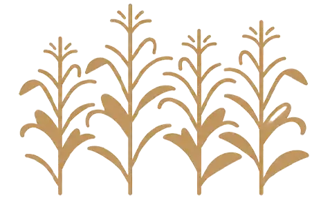 servicios agricolas santiago